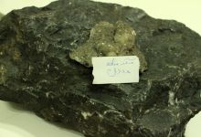 گزارش تصویری از کارگاه آموزشی متالوژنی(فلزایی) ایران - نمایشگاه سنگ های زینتی و بازدید از معادن سنگ در معلمان